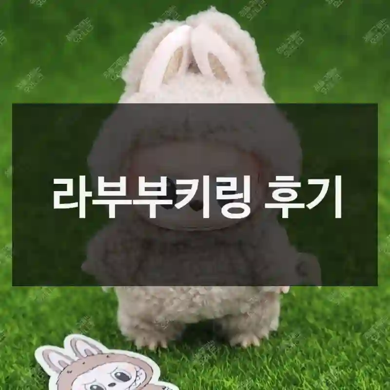 라부부키링 후기