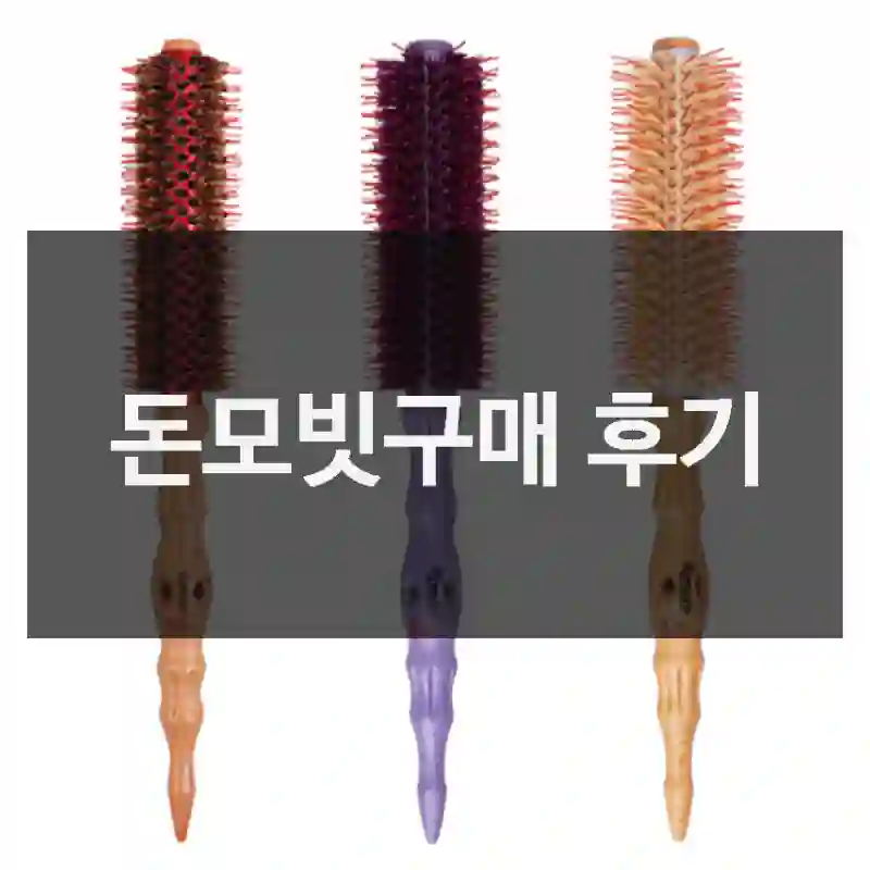 돈모빗구매 후기