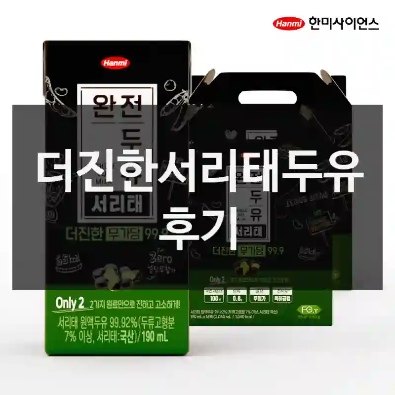 더진한서리태두유 후기