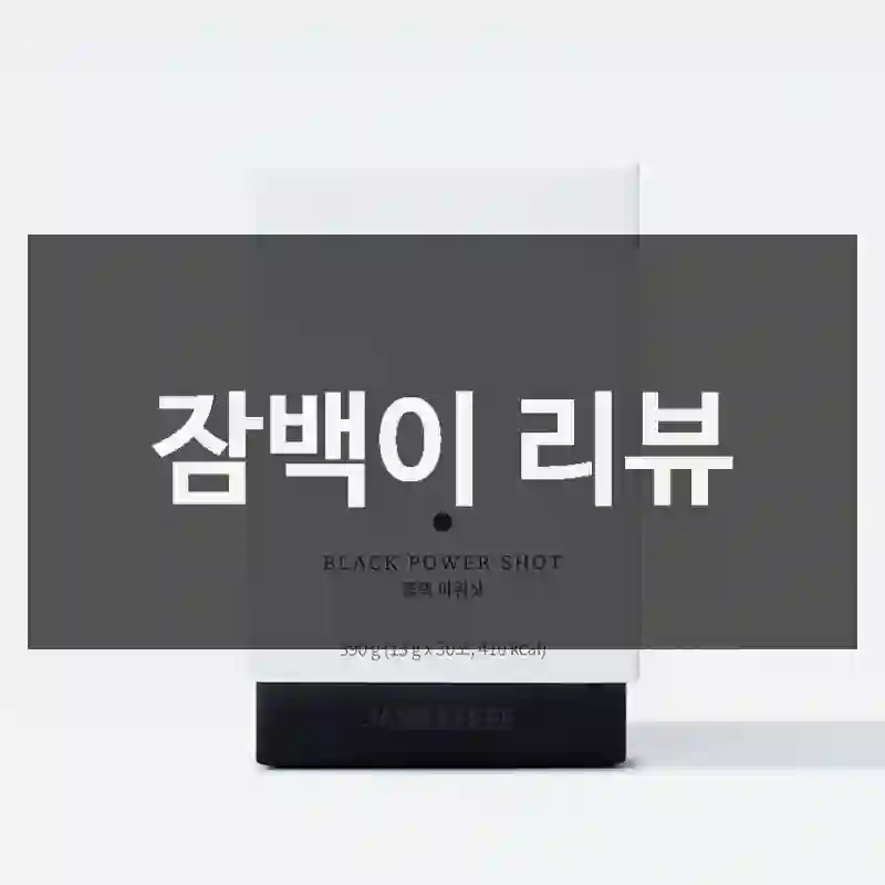 처음 구매한 잠백이 “잠백이” 사용기