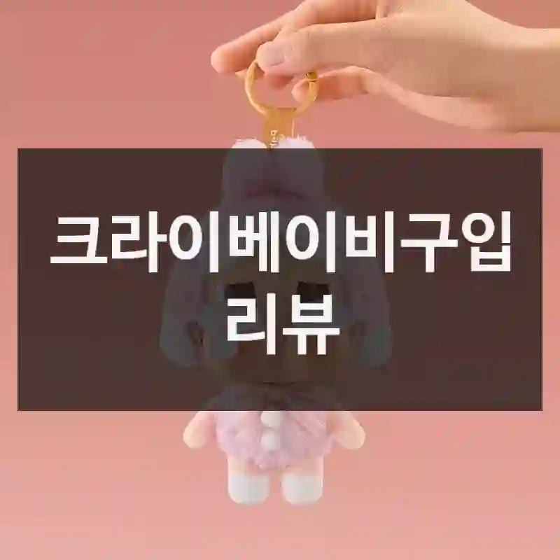 크라이베이비구입 리뷰