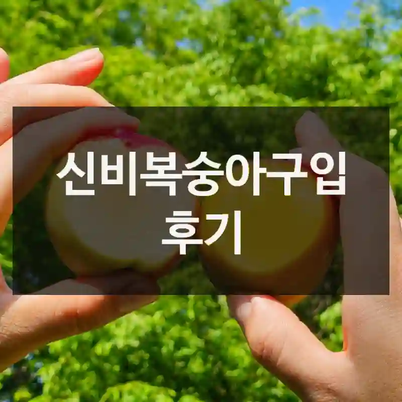 신비복숭아구입 후기