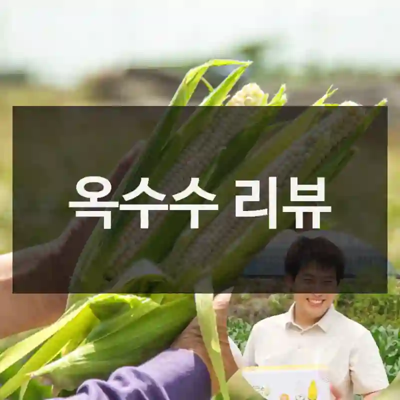 옥수수 리뷰