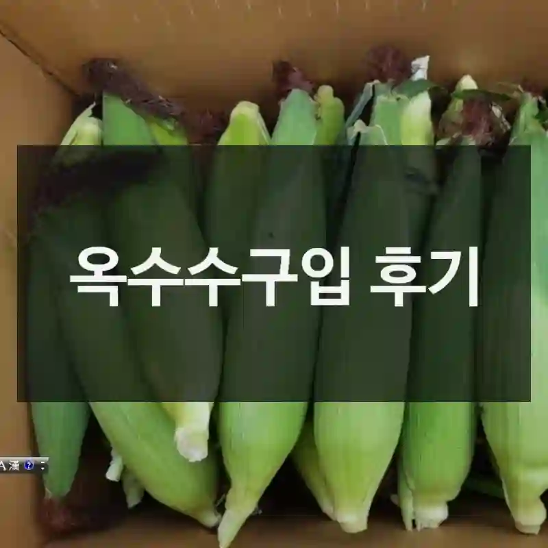 옥수수구입 후기