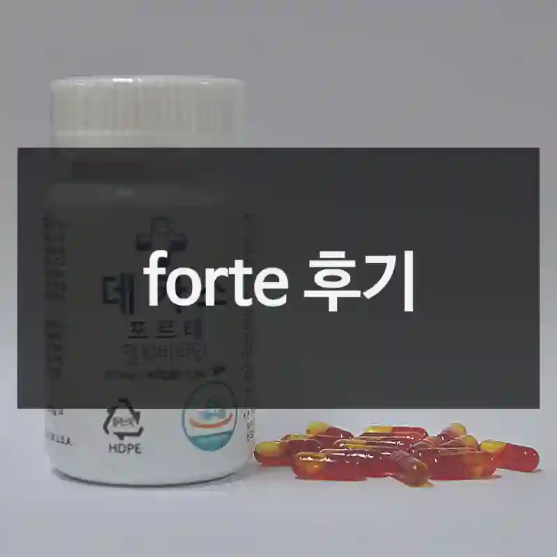 forte 후기