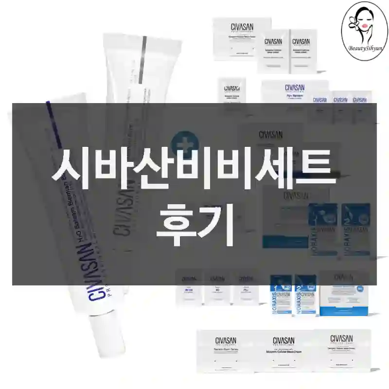 시바산비비세트 후기
