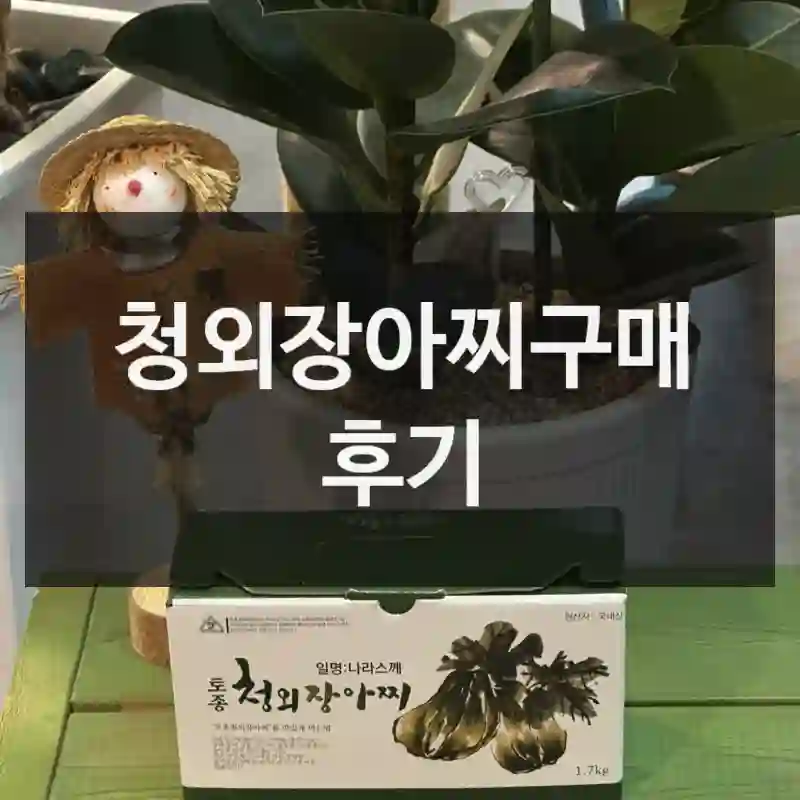 진짜 실화냐… 청외장아찌 체험 리뷰-나나스끼