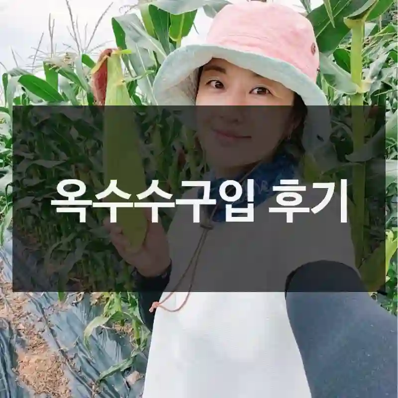 옥수수구입 후기