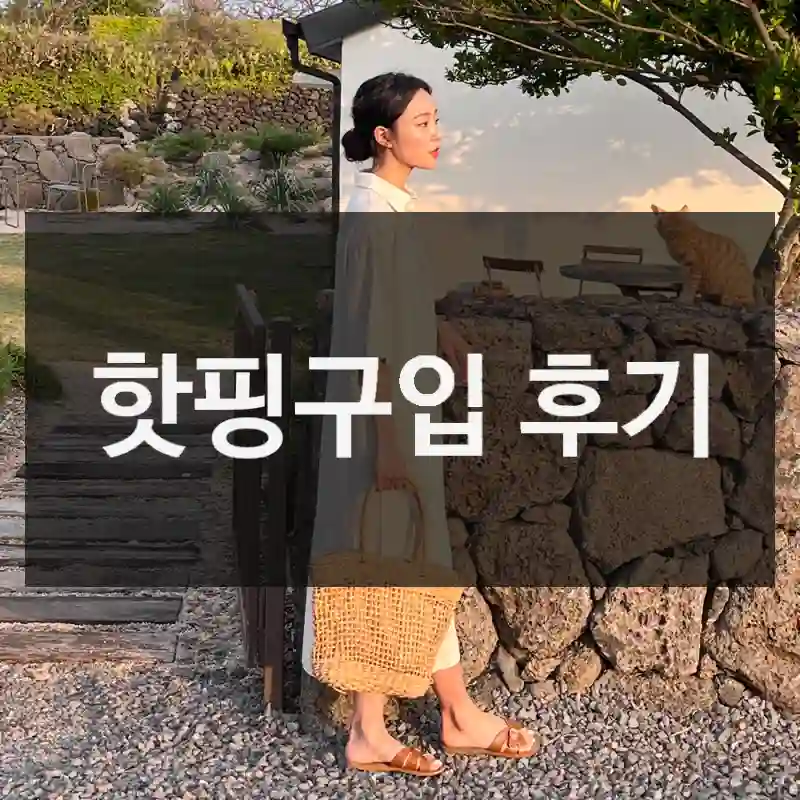 핫핑구입 후기