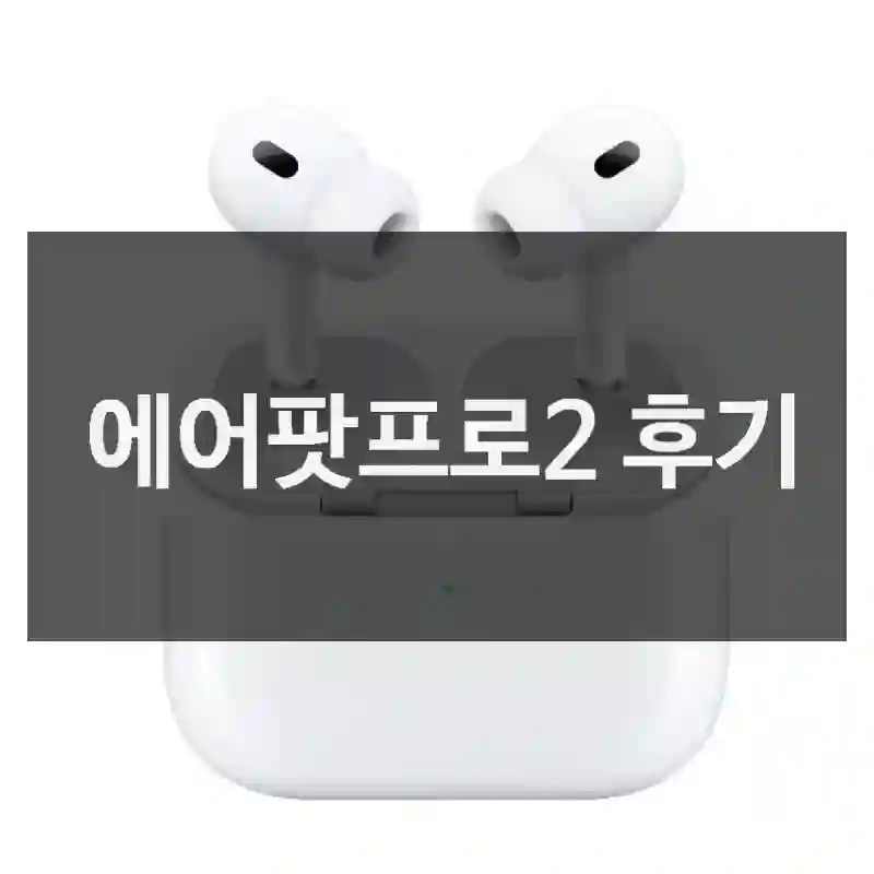 내돈내산 Apple 에어팟프로2, 구매 후기