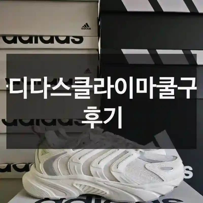 아디다스클라이마쿨구입 후기