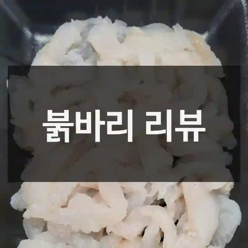 붉바리 리뷰