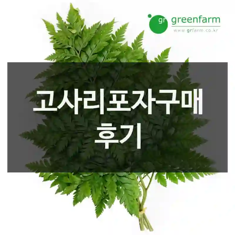 고사리포자구매 후기