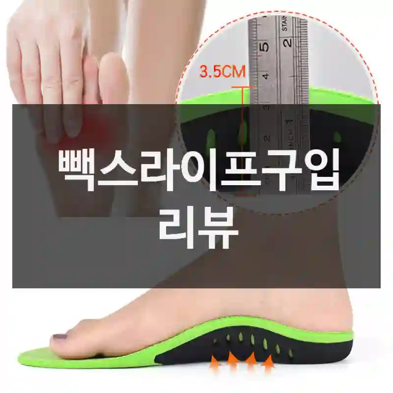 빽스라이프구입 리뷰