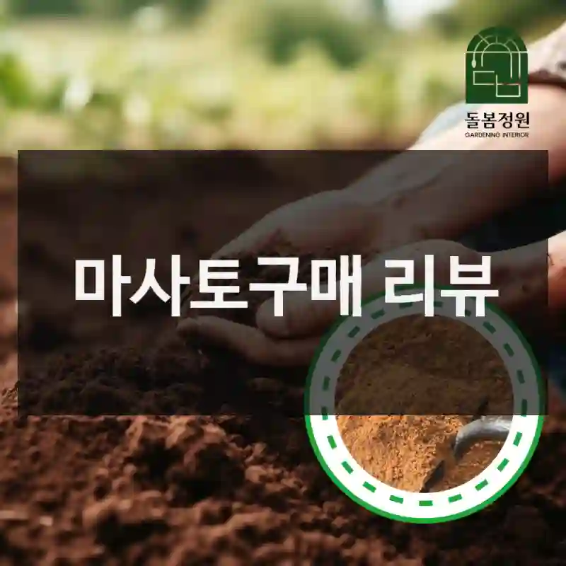 마사토구매 리뷰