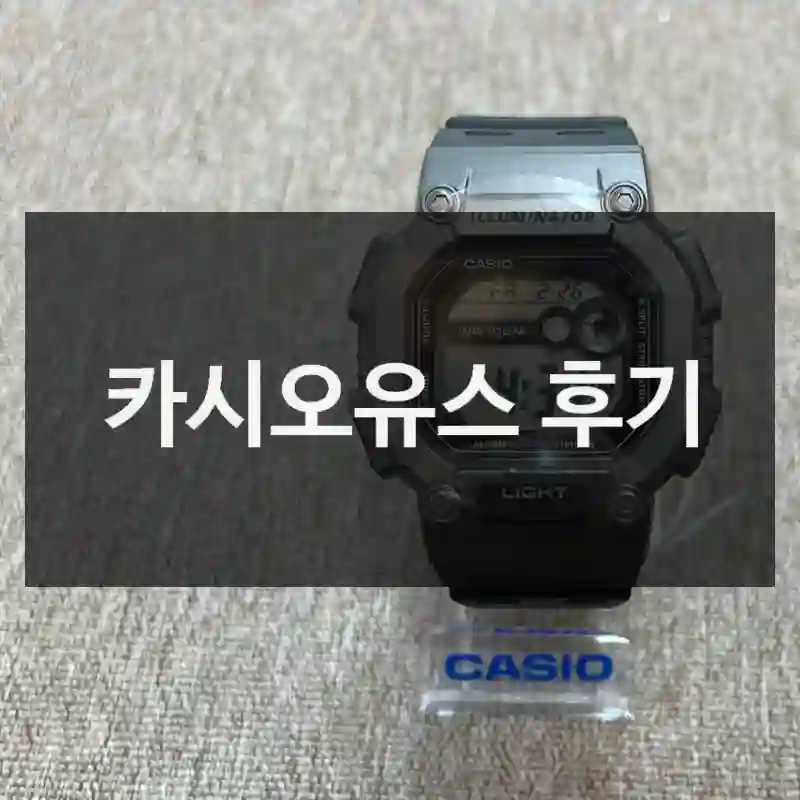 카시오유스 후기