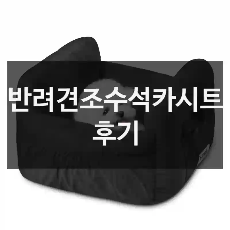 반려견조수석카시트 후기