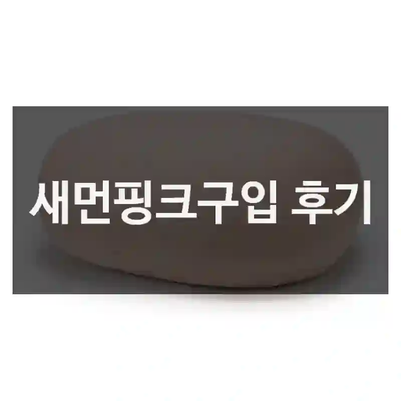 새먼핑크구입 후기
