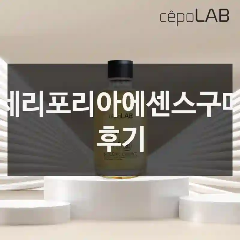 세리포리아에센스구매 후기