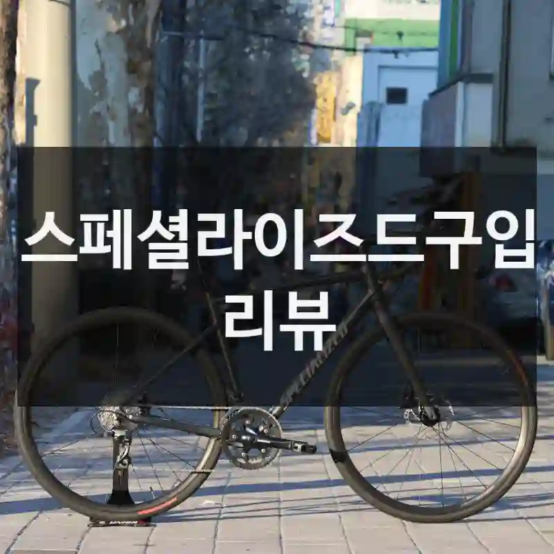 스페셜라이즈드구입 리뷰