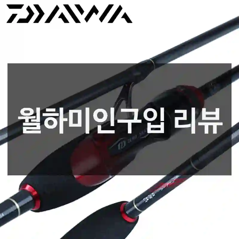 월하미인구입 리뷰