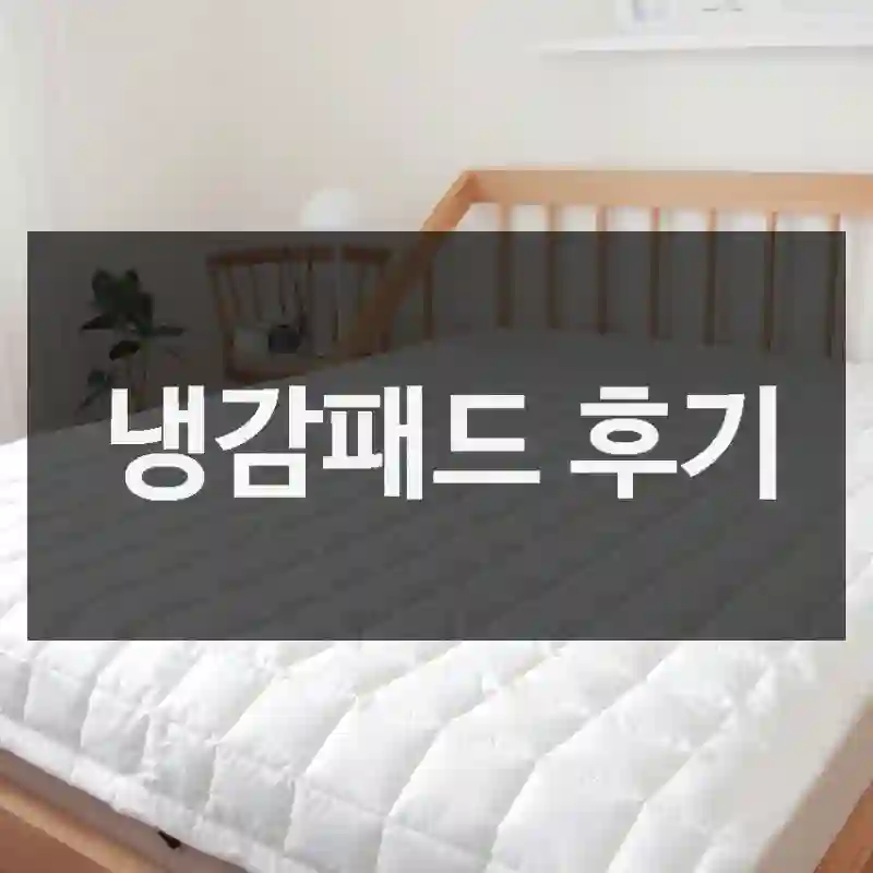 냉감패드 후기