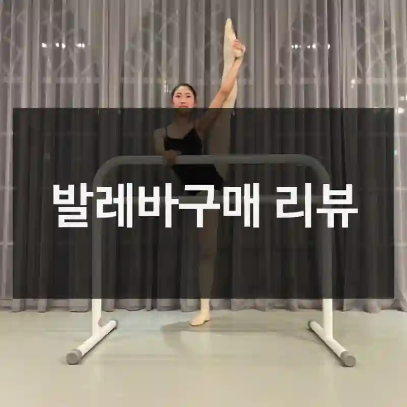 발레바구매 리뷰