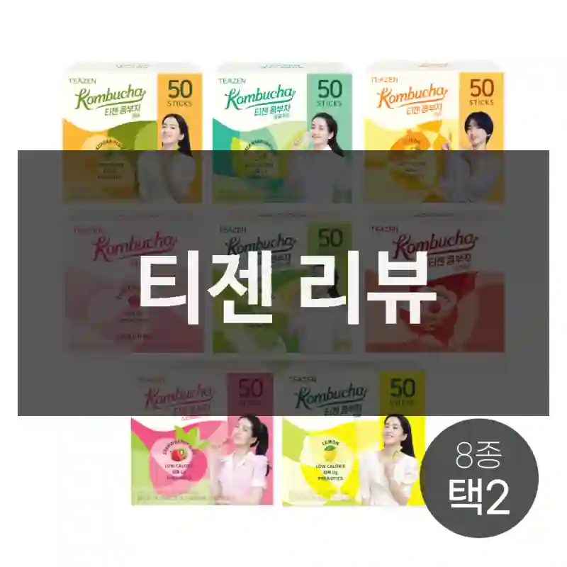 티젠 리뷰