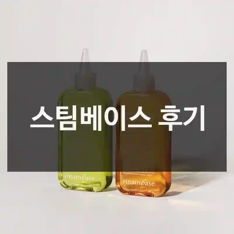 스팀베이스 후기