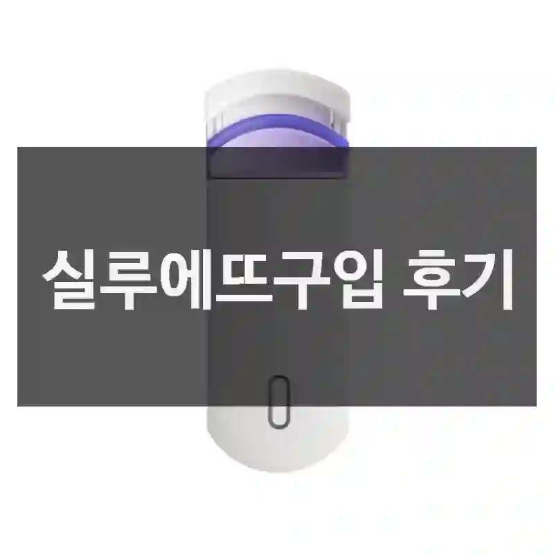 실루에뜨구입 후기
